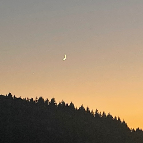 Zunehmender Mond, Venus und Waldsilhouette bei Sonnenuntergang