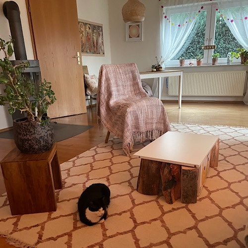 Teppich mit Muster darauf eine Katze, ein Couchtisch, Stuhl mit Überwurf und eine Pflanze