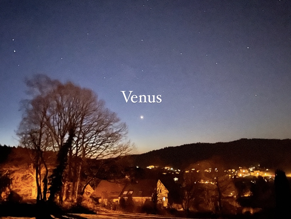 Venus strahlend hell am Morgenhimmel